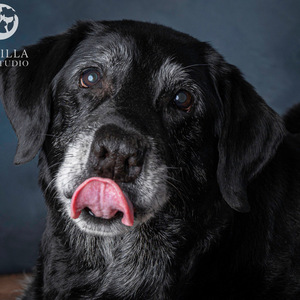 Fundraising Page: Stacey Myers